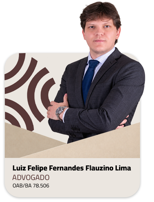 Luiz Felipe Fernandes Flauzino Lima