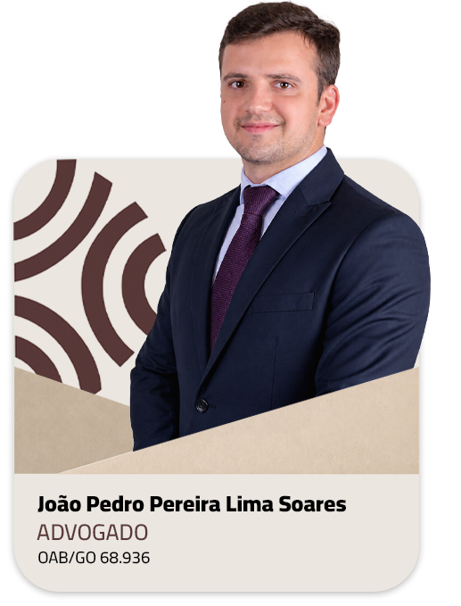 João Pedro Pereira Lima Soares